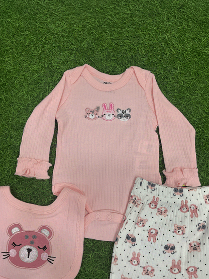CONJUNTO -02532098