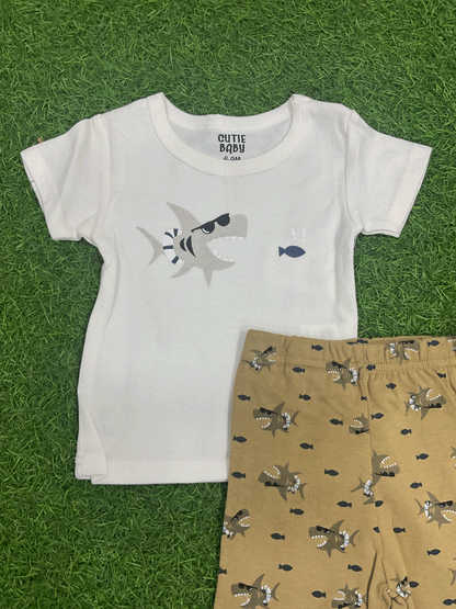 CONJUNTO -04132434