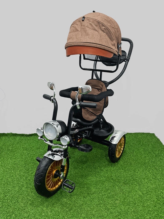 TRICICLO PASEADOR - HX37