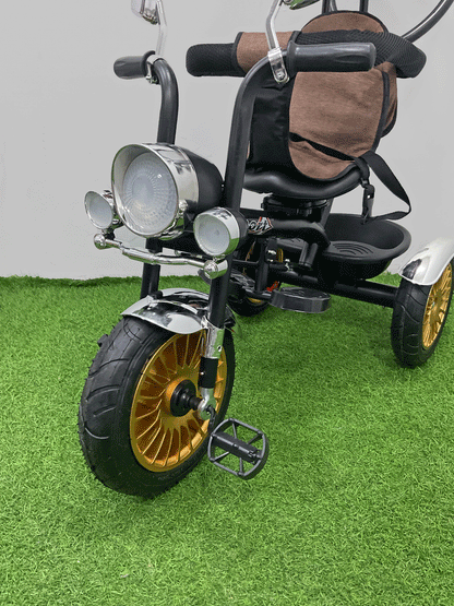 TRICICLO PASEADOR - HX37