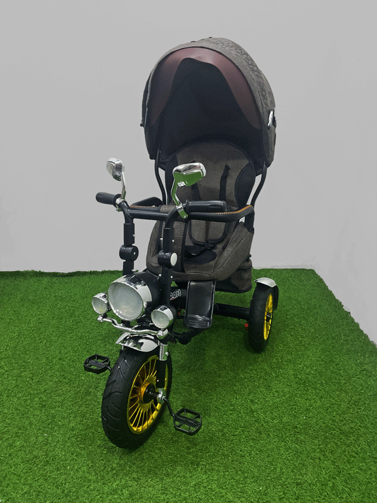 TRICICLO PASEADOR - HX40