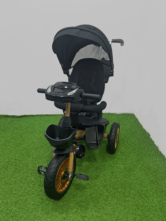 TRICICLO PASEADOR - HX41