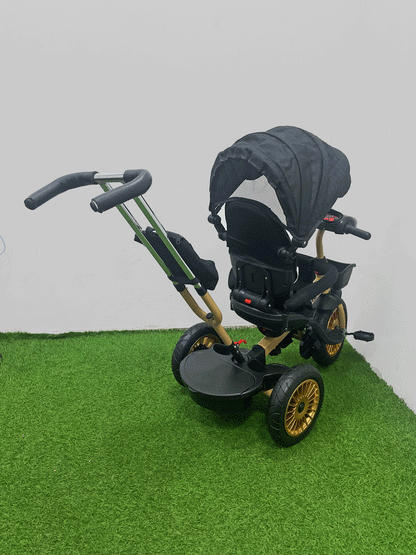 TRICICLO PASEADOR - HX41