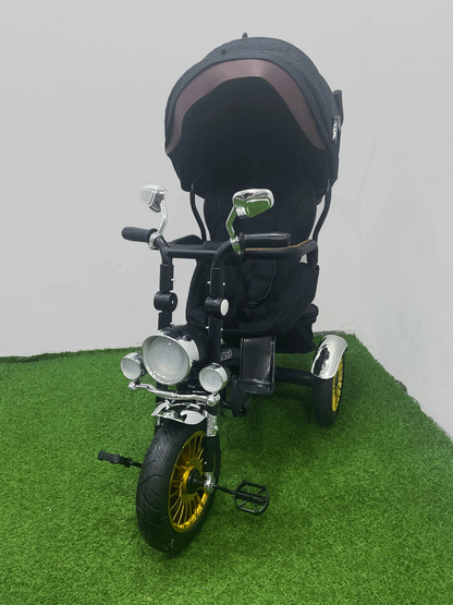 TRICICLO PASEADOR - HX40