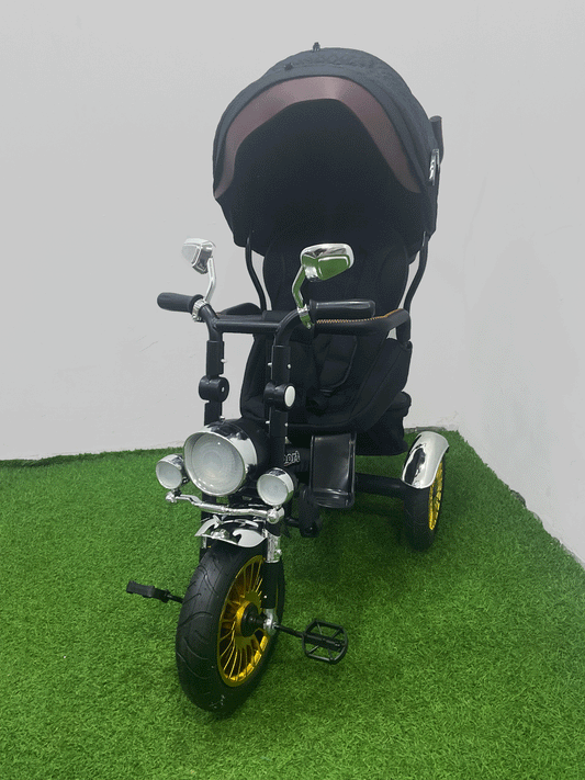 TRICICLO PASEADOR - HX40