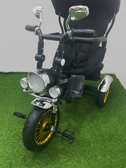TRICICLO PASEADOR - HX40