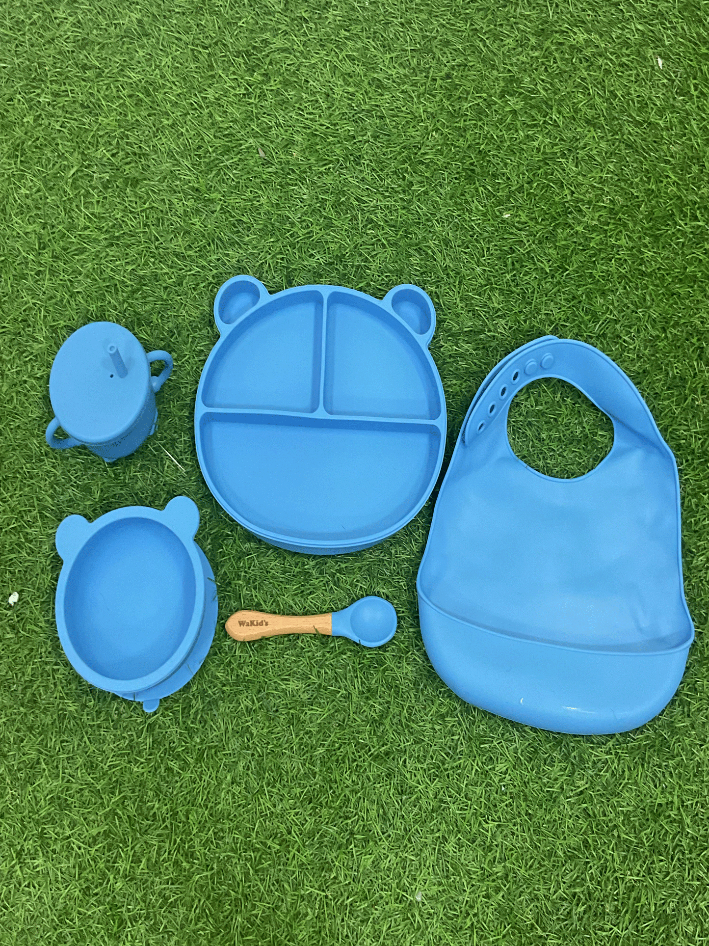 SET DE ALIMENTACION DE SILICON  - A77539N