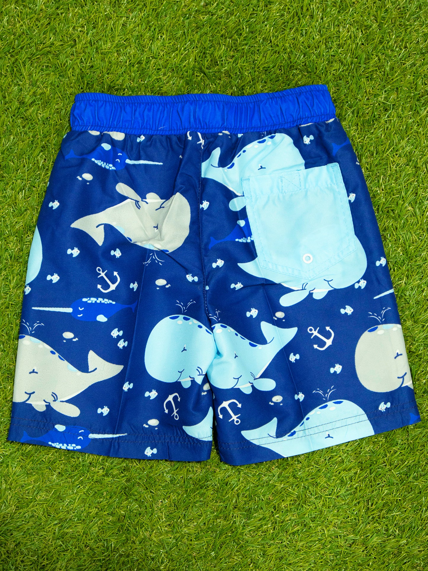 Short playero de ballenas - S6AP131N