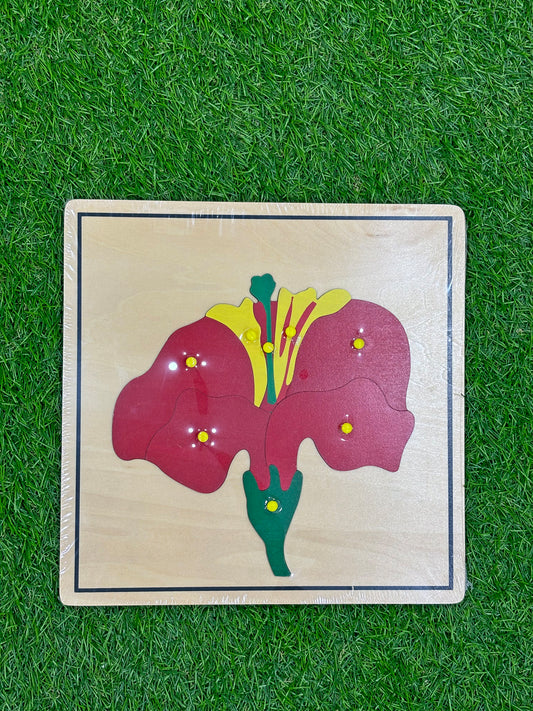Juego didáctico - PZ20