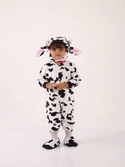 DIZFRAS DE VACA - KB034231
