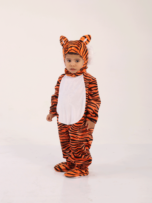 DIZFRAS DE TIGRE - KB034216