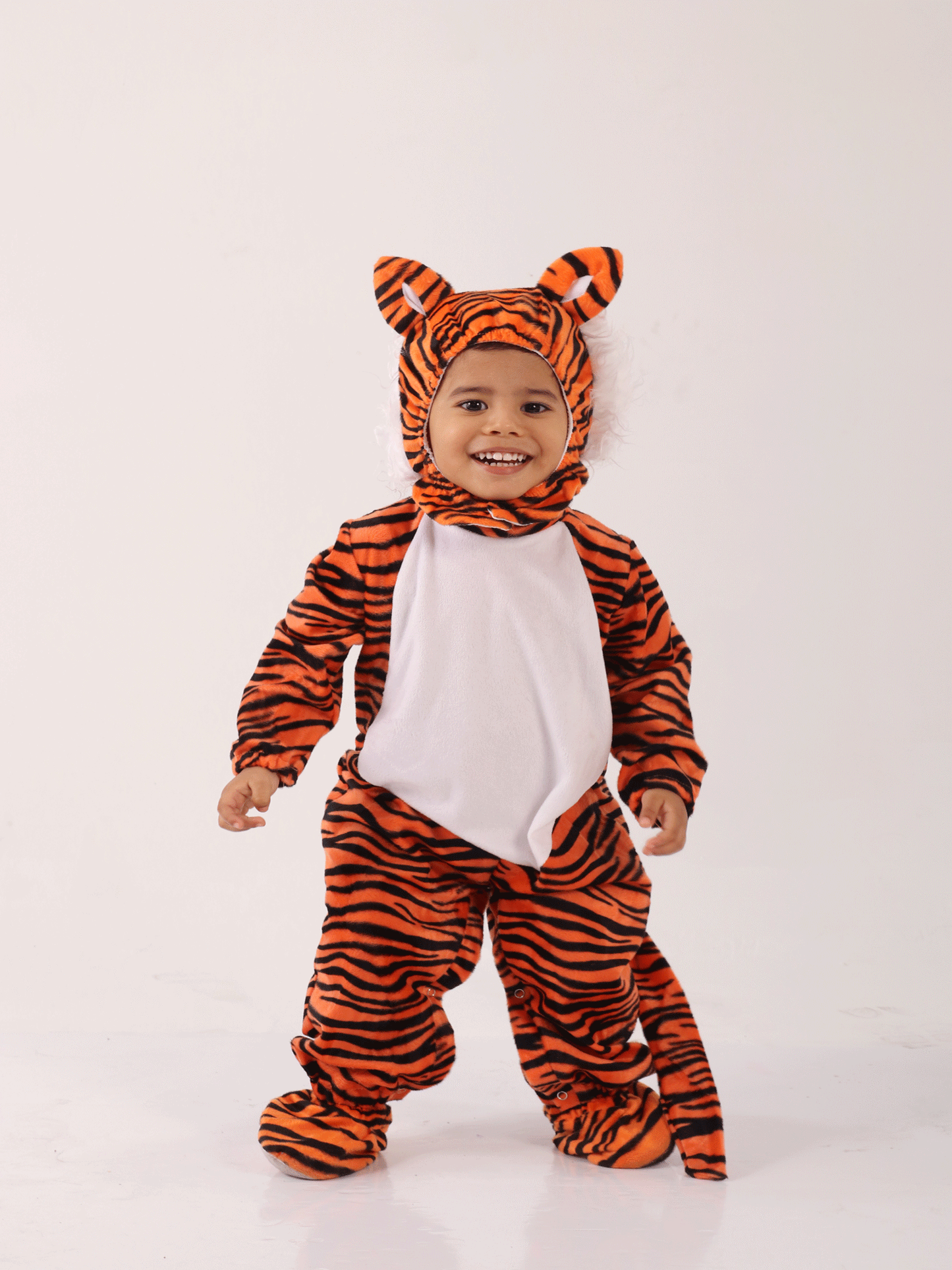 DIZFRAS DE TIGRE - KB034216