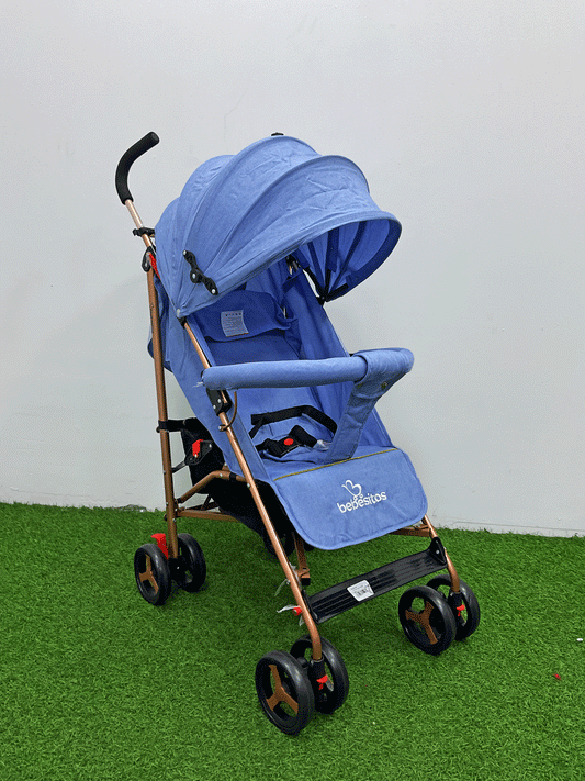 COCHE - BUGGY23