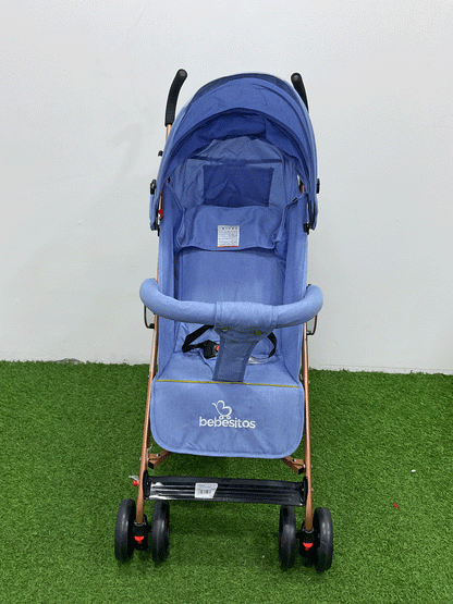 COCHE - BUGGY23