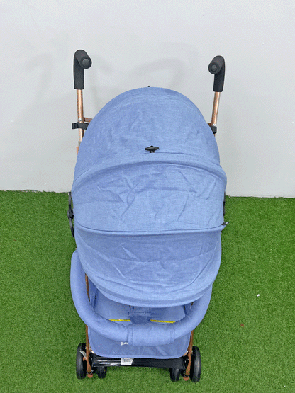 COCHE - BUGGY23