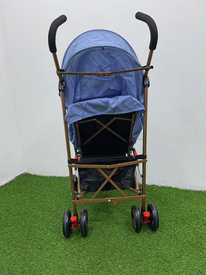 COCHE - BUGGY23