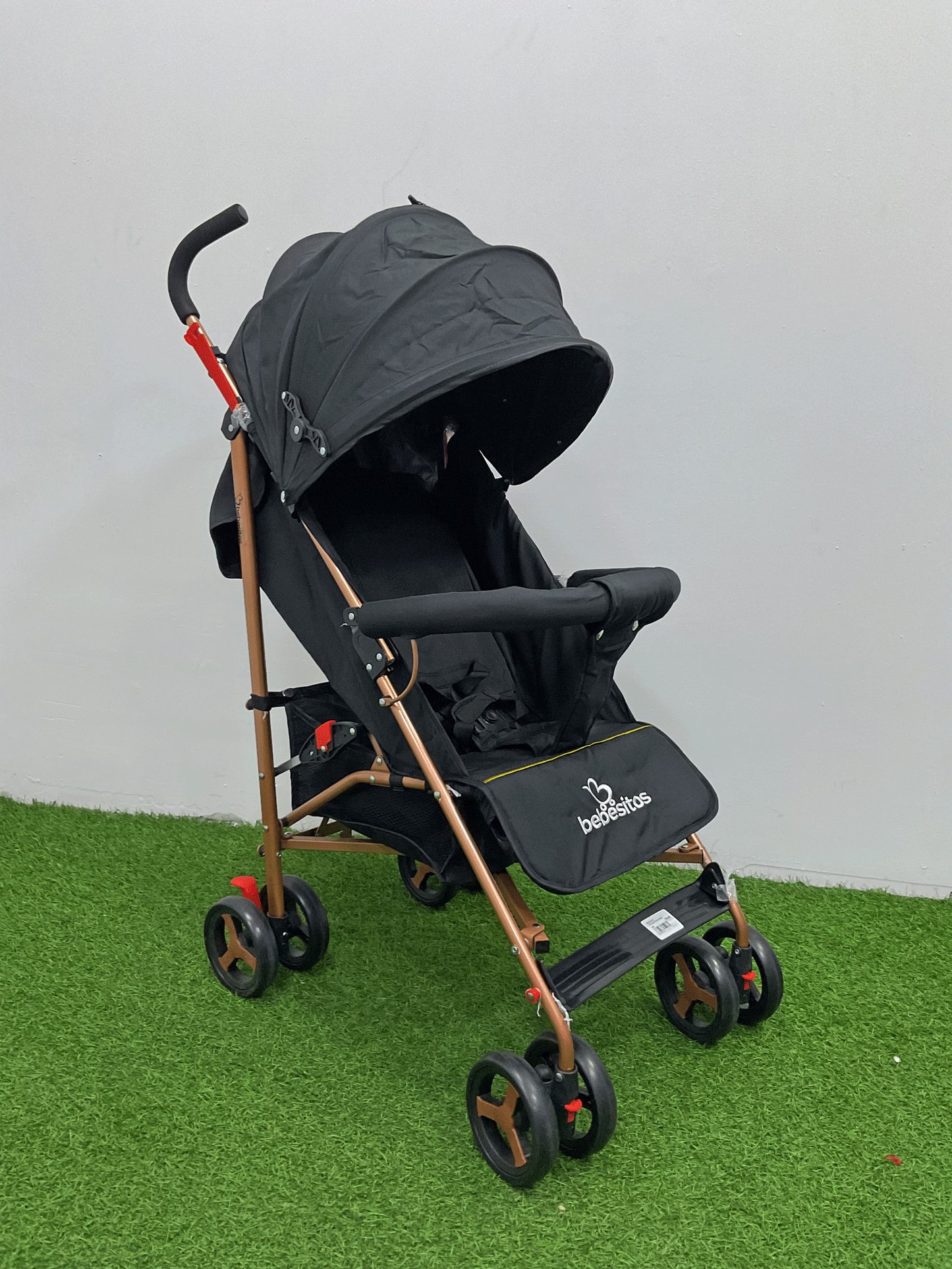 COCHE - BUGGY21