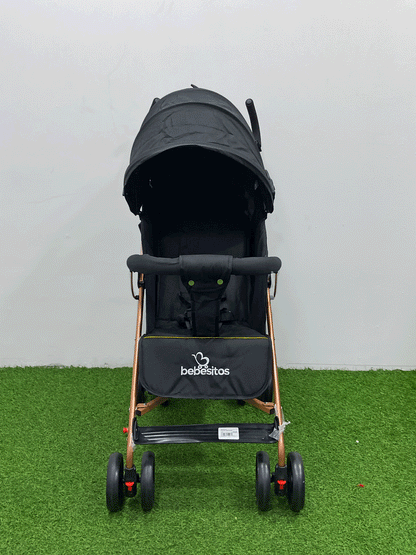 COCHE - BUGGY21