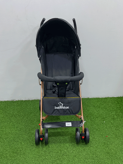 COCHE - BUGGY21