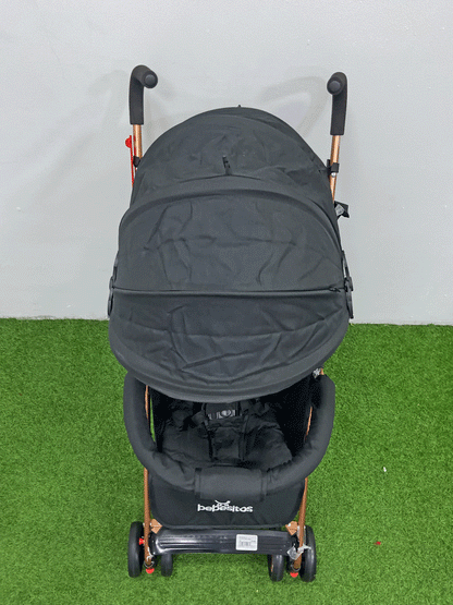 COCHE - BUGGY21