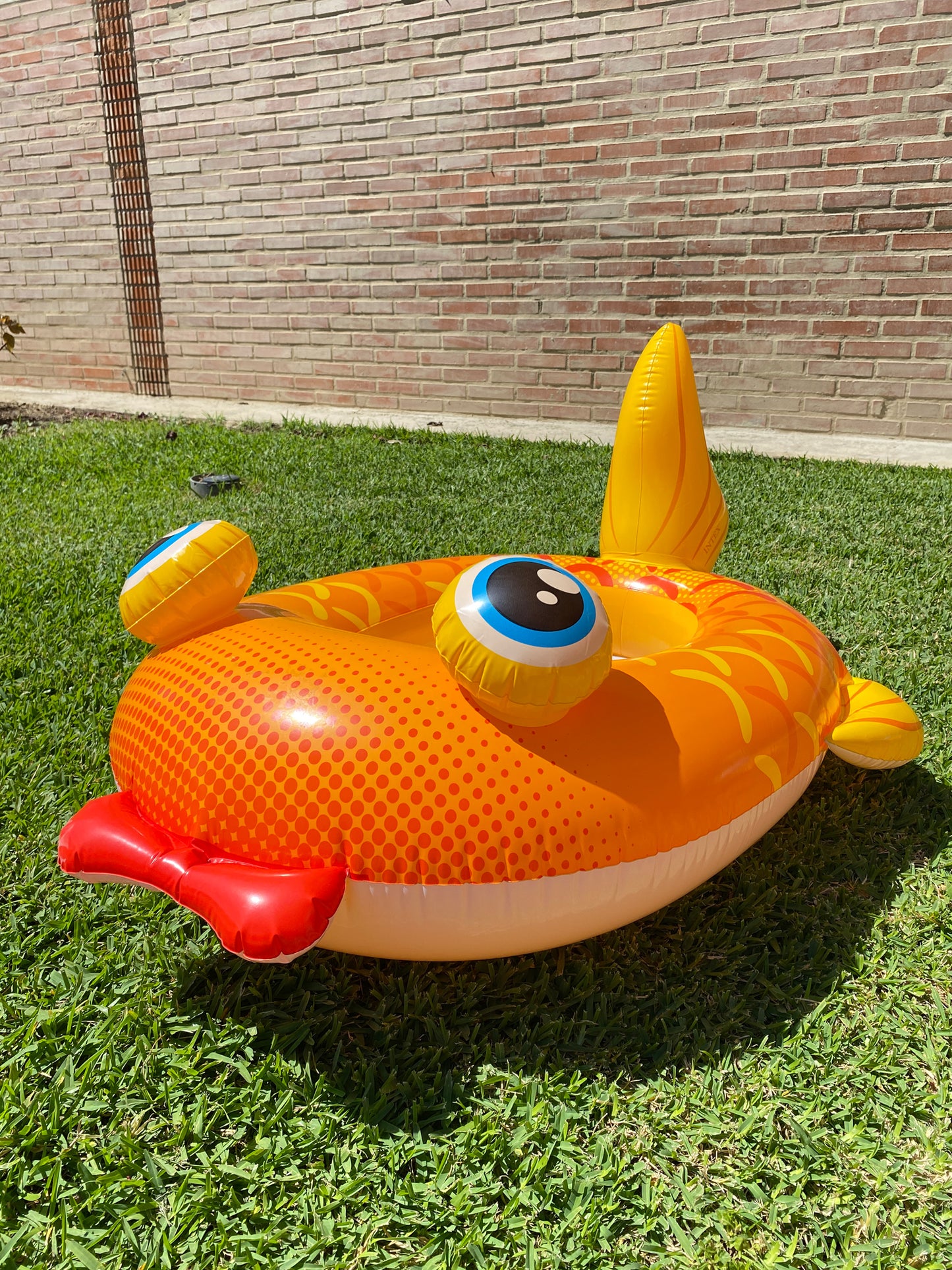 Flotador inflable - 59380NP
