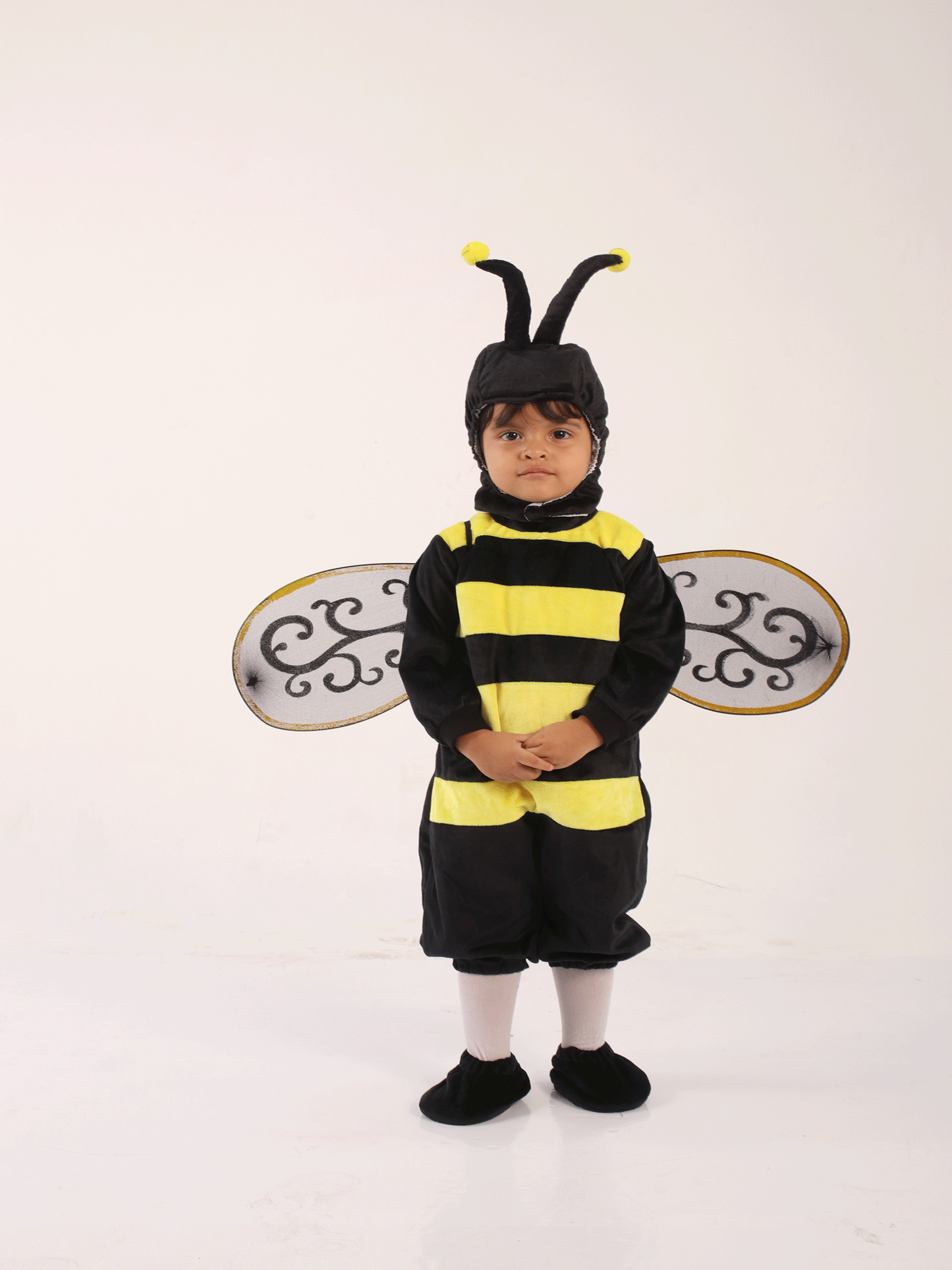 DIZFRAS DE ABEJA - KB034227