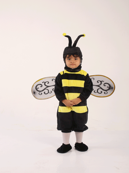 DIZFRAS DE ABEJA - KB034227