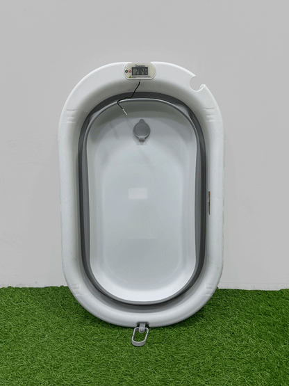 BAÑERA PLEGABLE CON TERMÓMETRO DÍGITAL -TUBBY5500