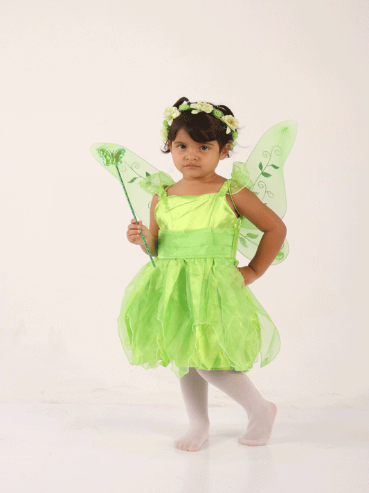 DIZFRAS DE HADA - KB070875