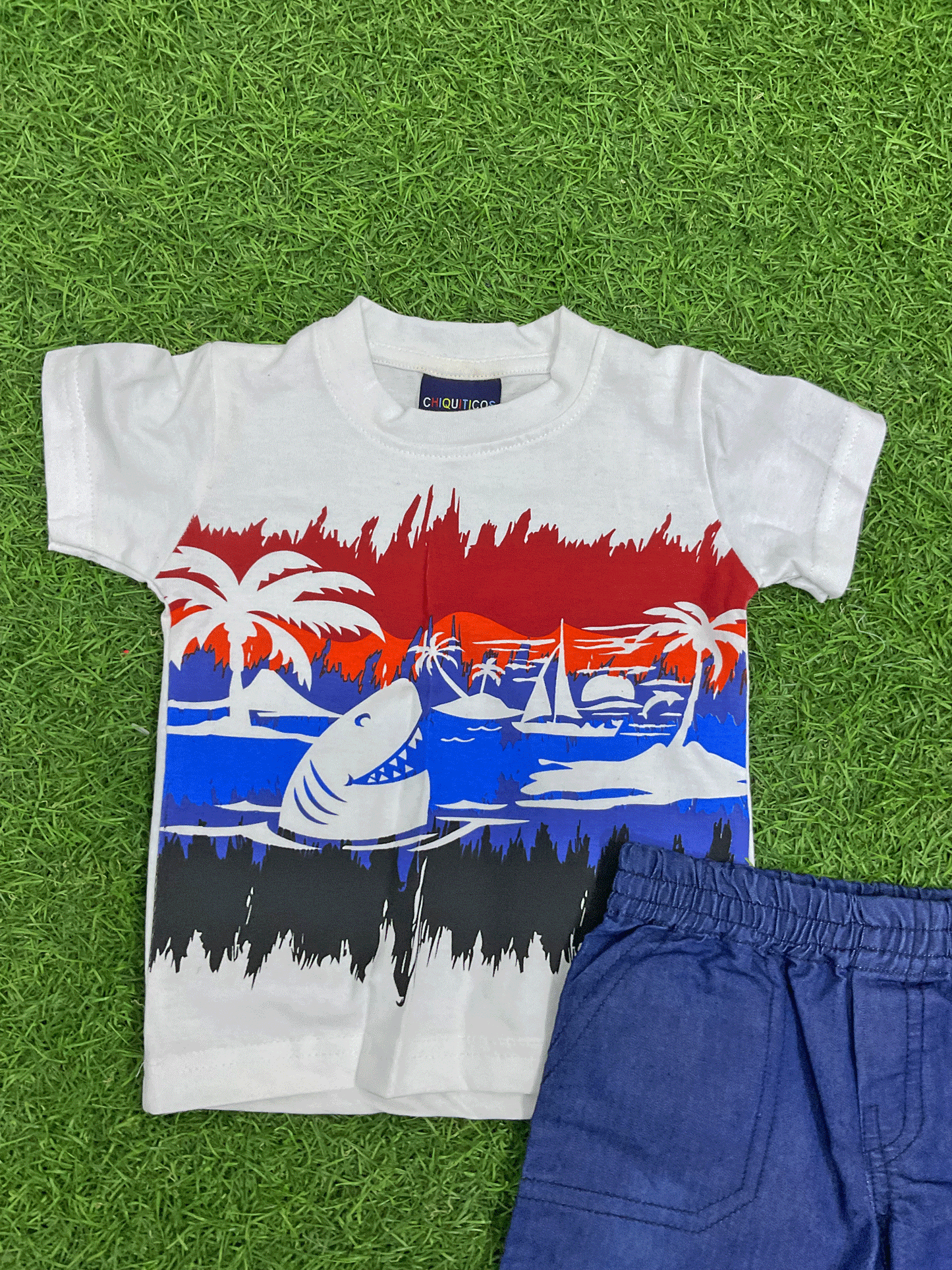 CONJUNTO - 3612810