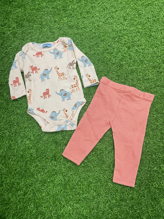 CONJUNTO - AP14817