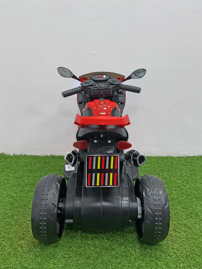 MOTO ELECTRICA - JMB169B