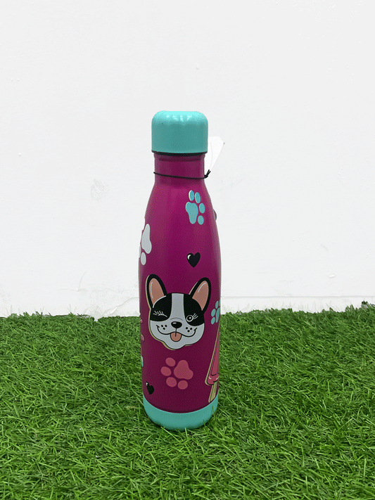 BOTELLA TERMICA - STRCK1002