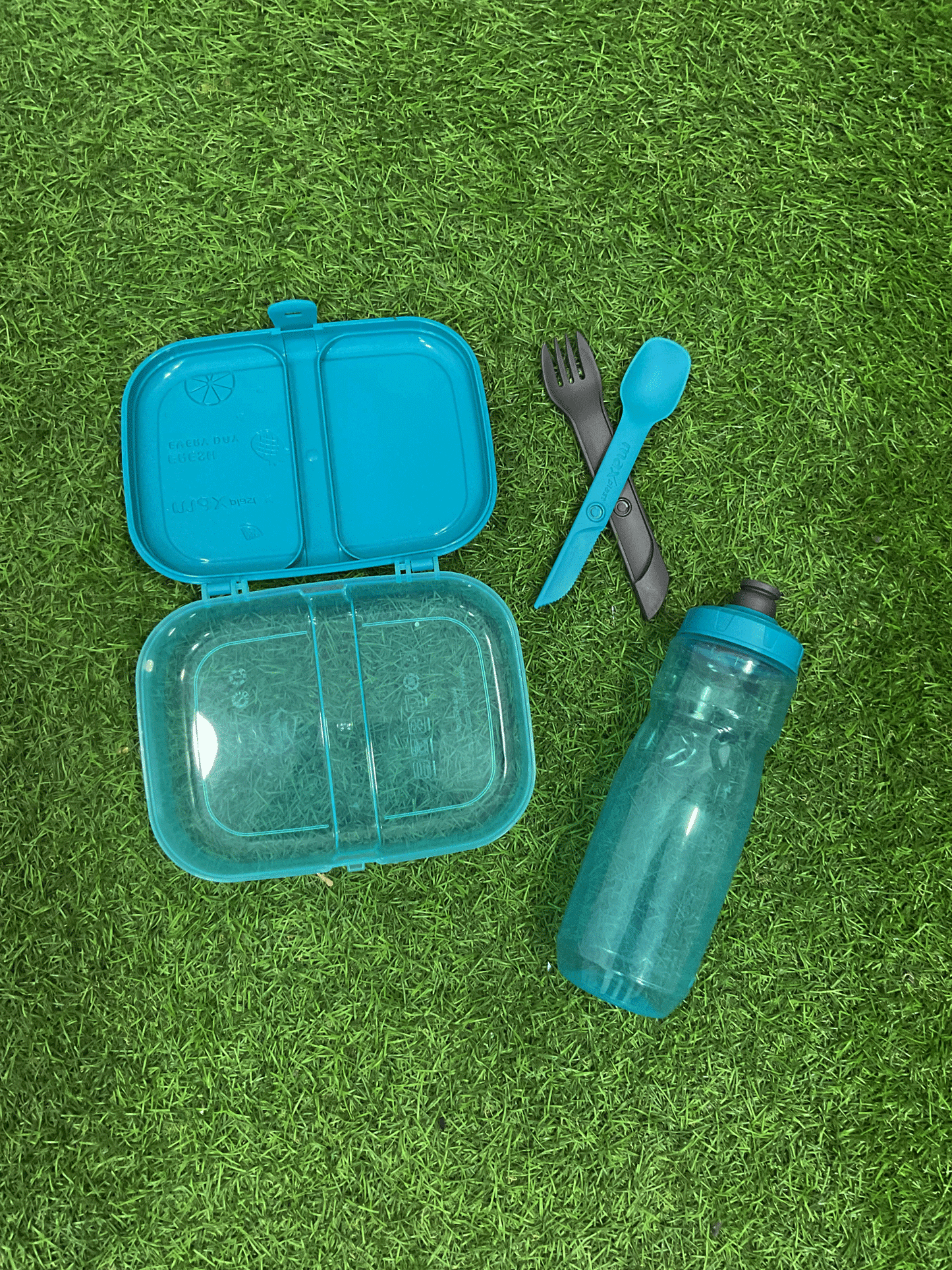 SET DE LONCHERA - 1649