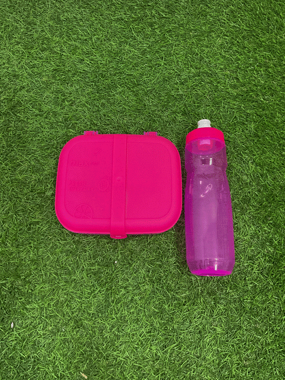 SET DE LONCHERA - 1649