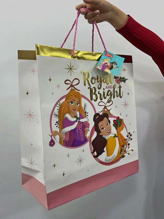 BOLSA DE REGALO  - D18XMTX19402DP