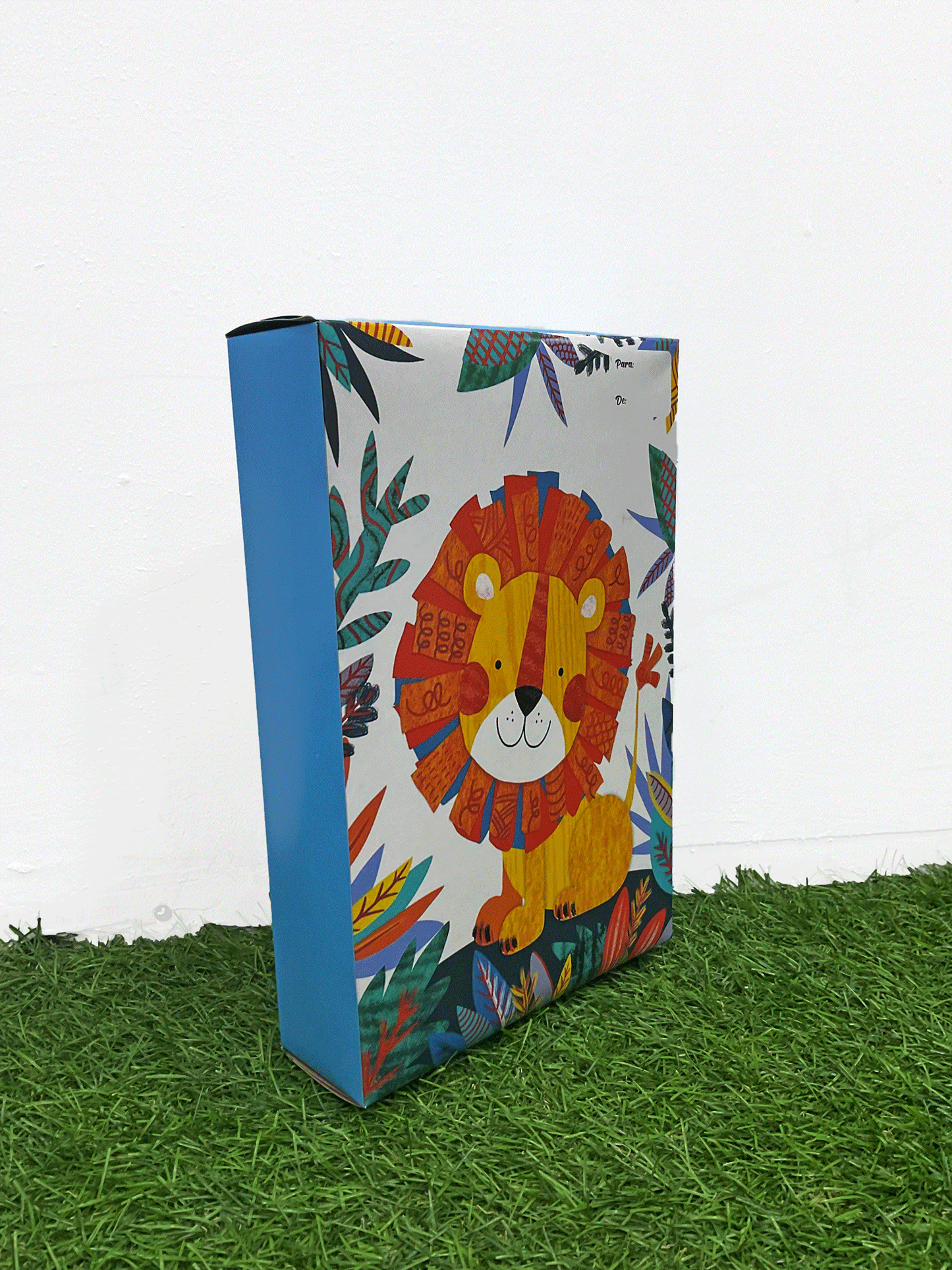 CAJA DE REGALO - GB2MBOY