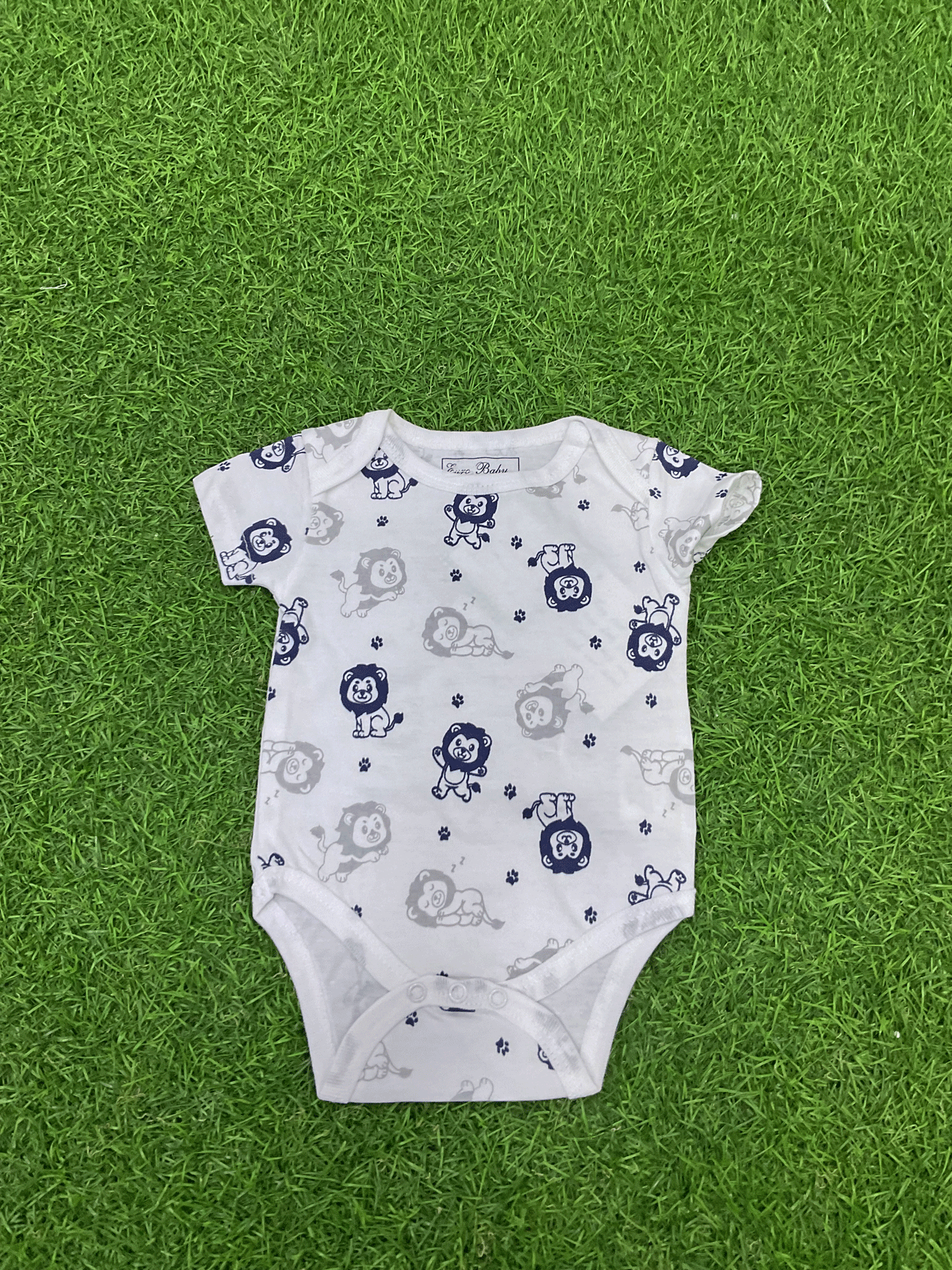 CONJUNTO - 3308056