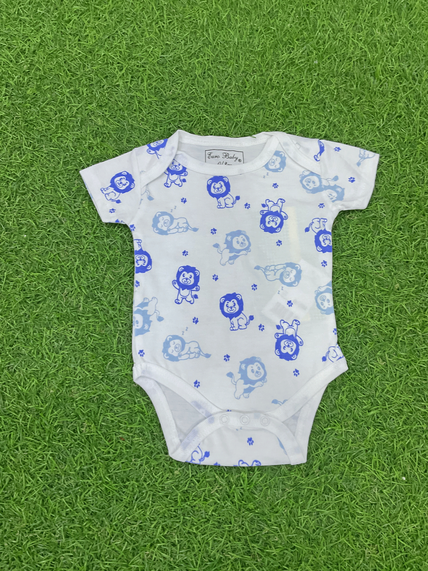CONJUNTO - 3308056