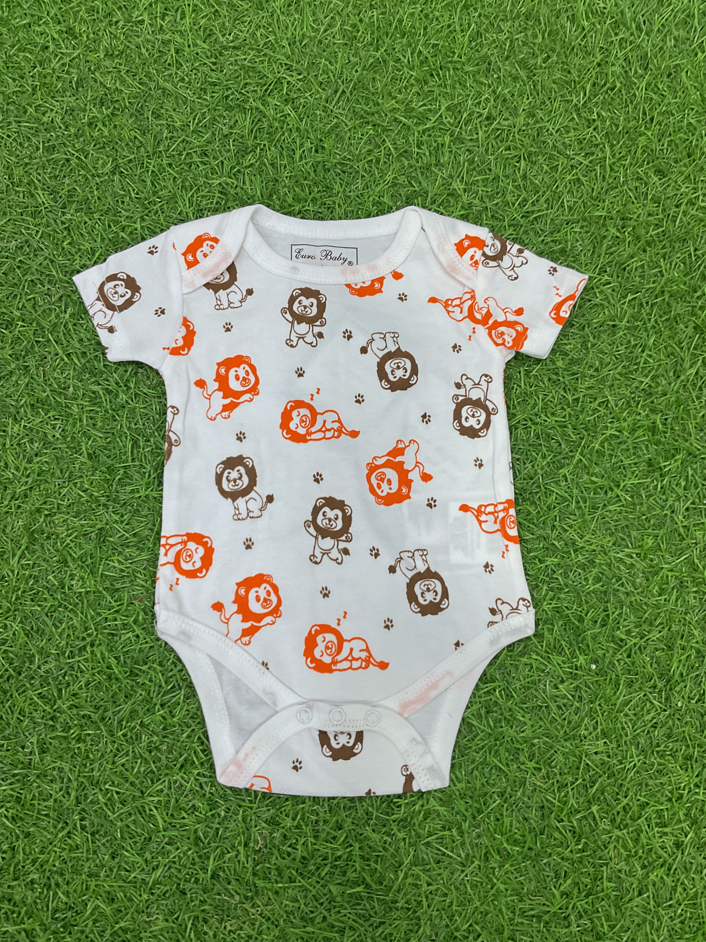 CONJUNTO - 3308056