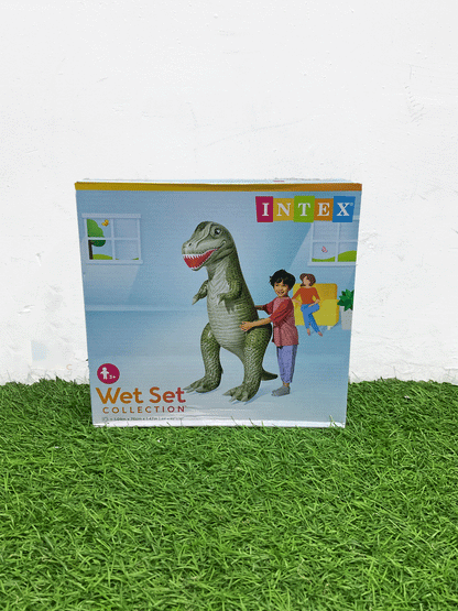 INFLABLE - 48593NP
