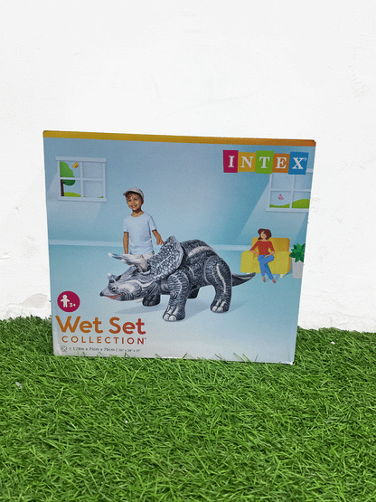 INFLABLE - 48594NP