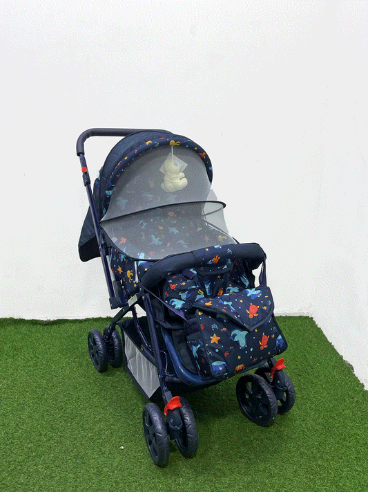 COCHE DOBLE VISTA - LP00287