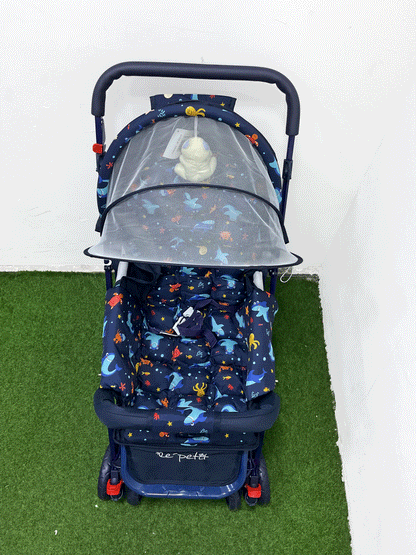 COCHE DOBLE VISTA - LP00287