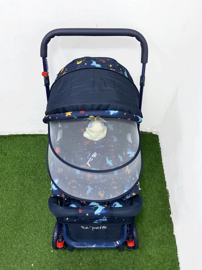 COCHE DOBLE VISTA - LP00287