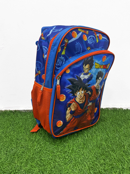 BOLSO TIPO MALETA - TXRDBP2345