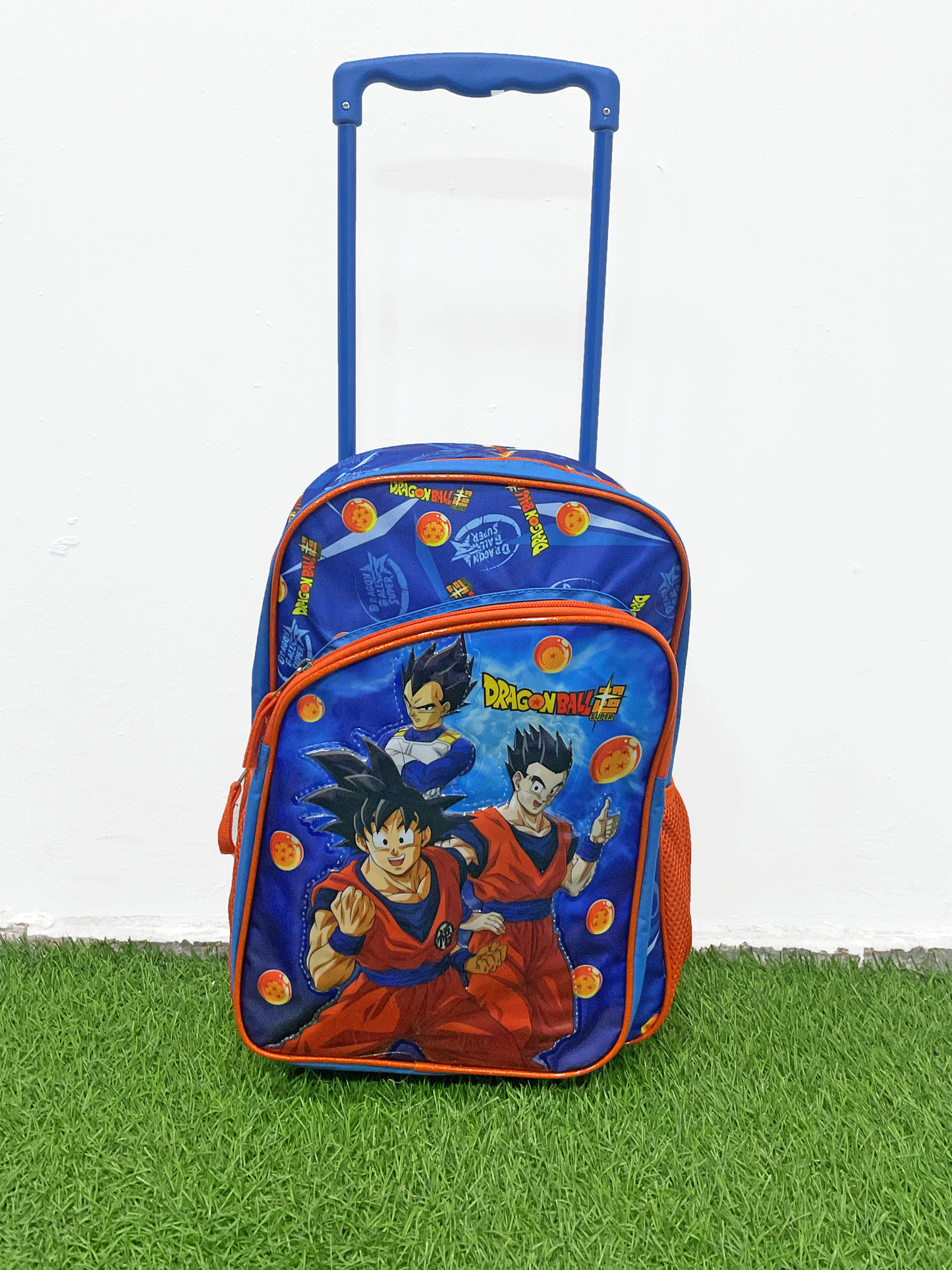 BOLSO TIPO MALETA - TXRDBP2345