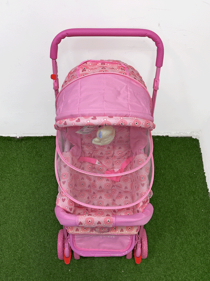 COCHE DOBLE VISTA - LP00284