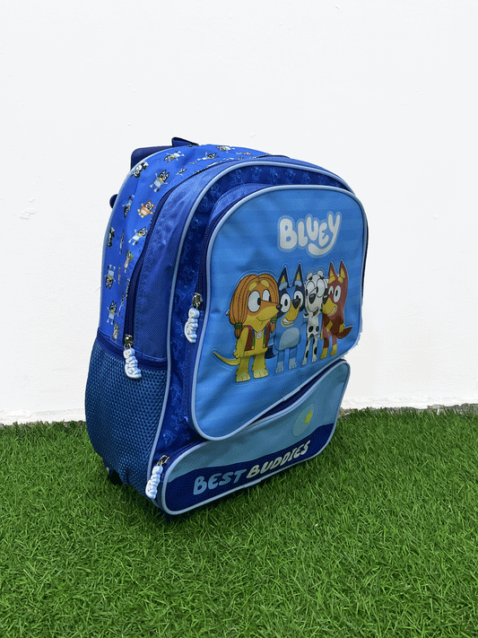 BOLSO TIPO MALETA-DXRBLUP2344