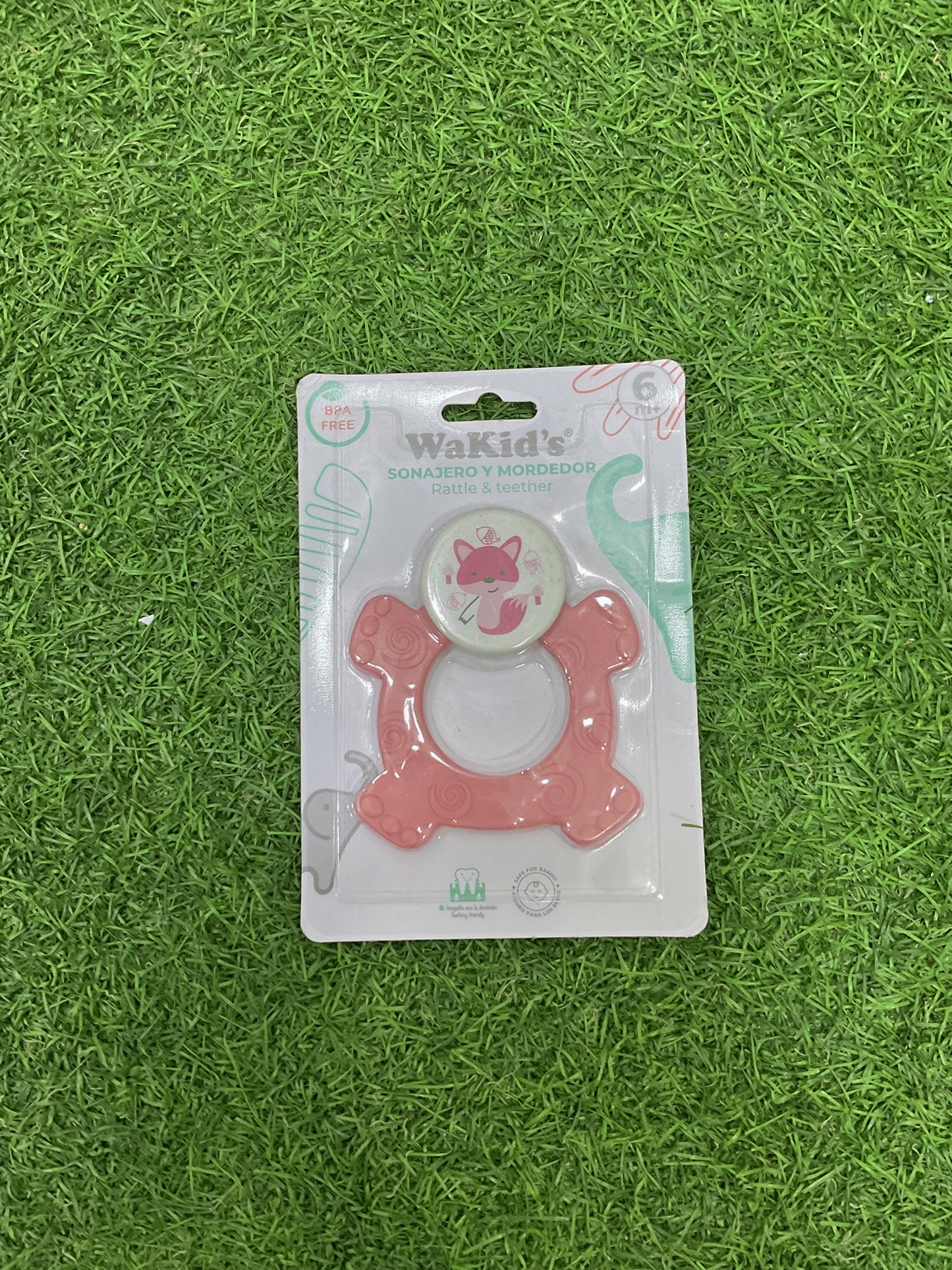 RASCA ENCIAS - A77766